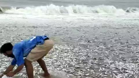 Chennai beach, India today