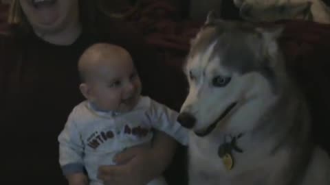 Dog makes baby laugh