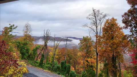 Gatlinburg (Bear Edition)