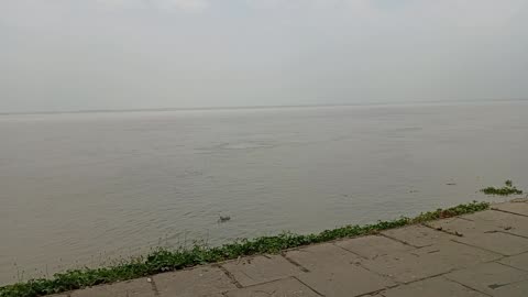 Podma Rivers
