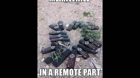 Random Memes 519