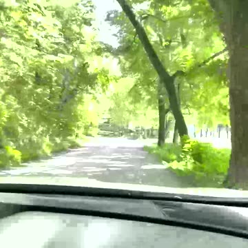 Rolling into Autism Awareness Month in April!