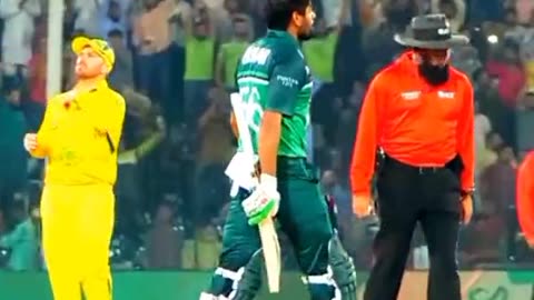 Cricket lover