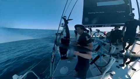 Pod of Orcas Attack Sailboat off the Coast of Spain During Around-the-World Race