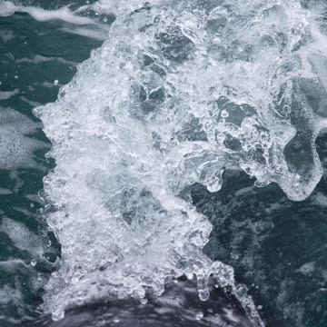 FRIENDLY 🐋WHALE COMES SOOO CLOOOOSE 🐋 😮