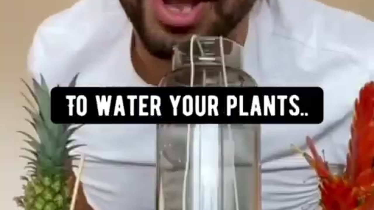 How to Water Plants with a String