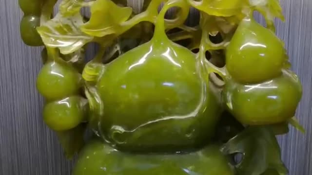Jade carvings have become dragons from generation to generation, which means good