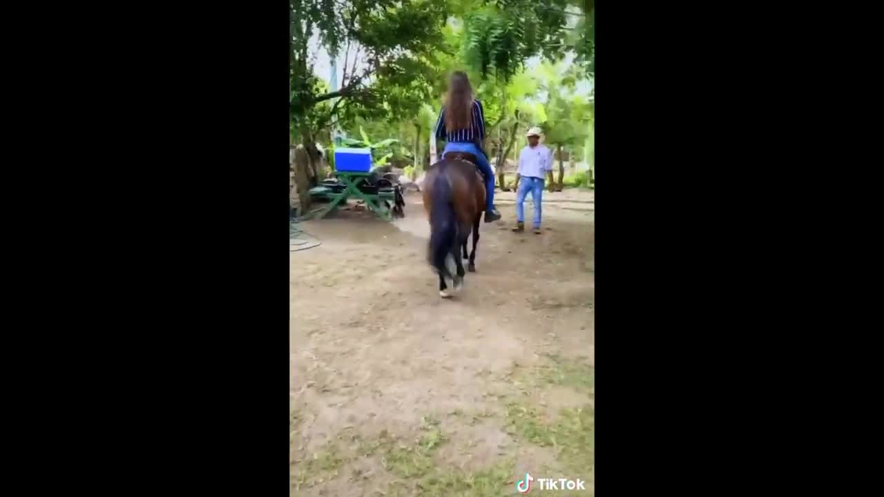 The Best HORSE TikTok Compilation 2022