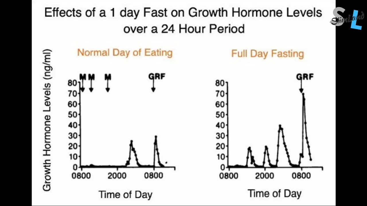 KETO VS FASTING - Which One Is Better? - Difference Between Keto Diet and Intermittent Fasting