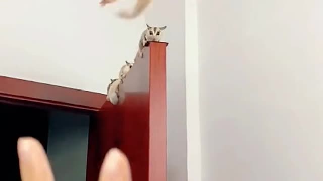Doyouknowthem