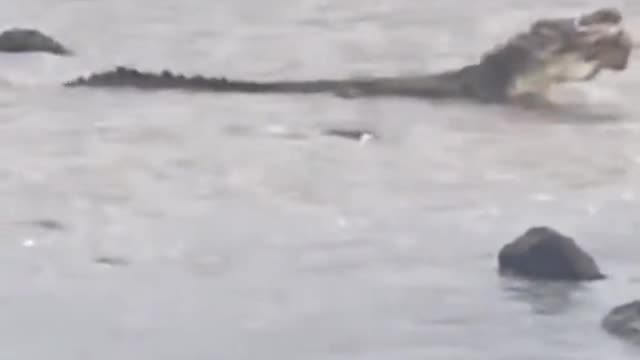 What on earth is going on here?