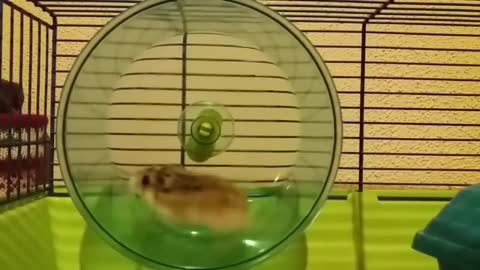 Funny Fails Compilation # 174