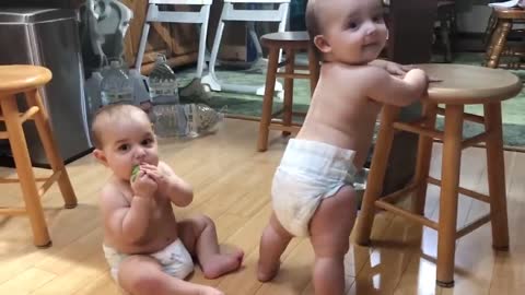 Best Video Of Twin Babies Compilation - Twins Funny Baby Video