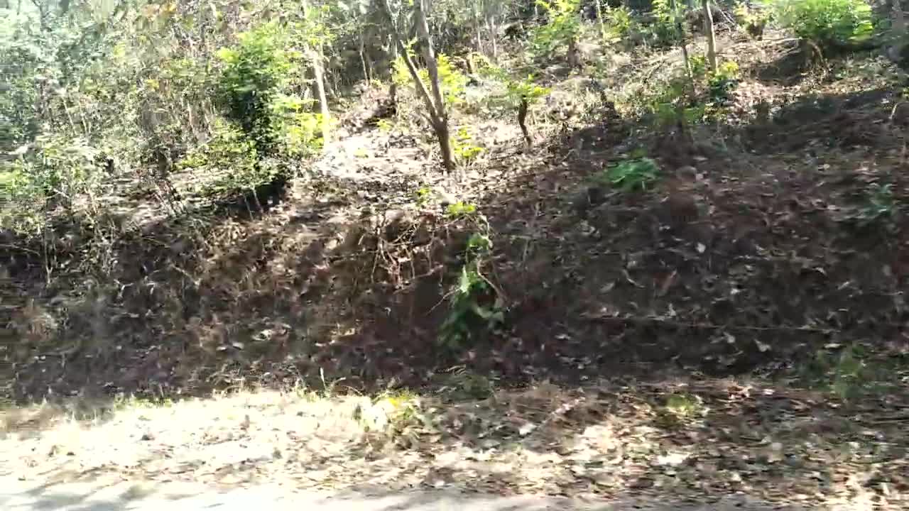 agriculture land for sale at raigad mhasla