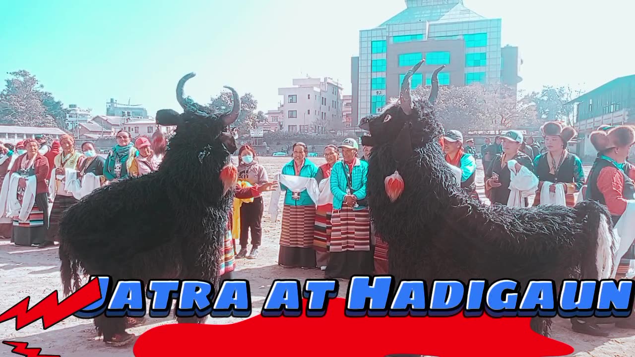 #Local Culture #Yak Dance