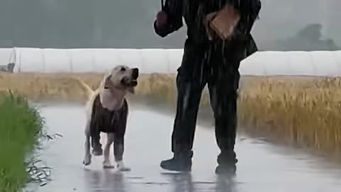 A dog is a man's best friend❤️