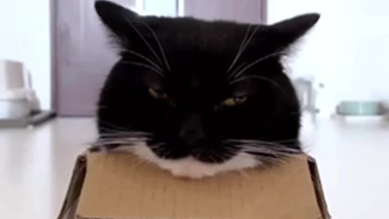 Bottomless Box