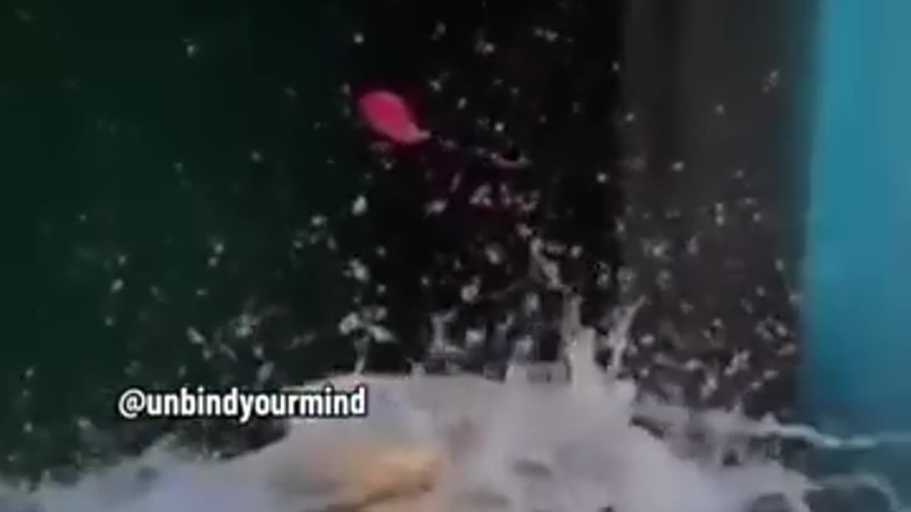 Ever wondered why things really fall down?