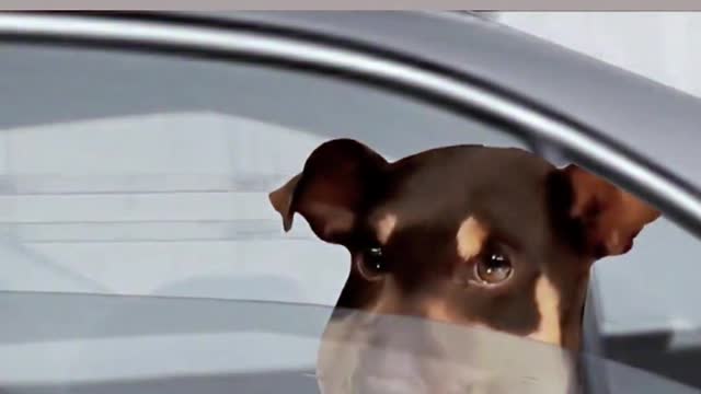 Every time I sit in the window and look out of the window, I feel like I'm playing an MV