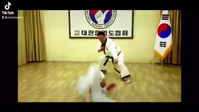 Hapkido