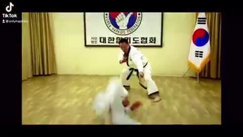 Hapkido