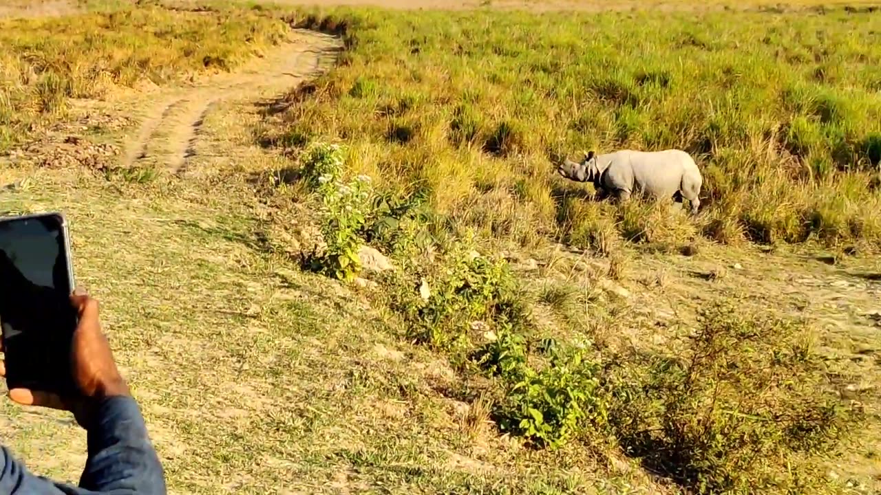 Kaziranga tour