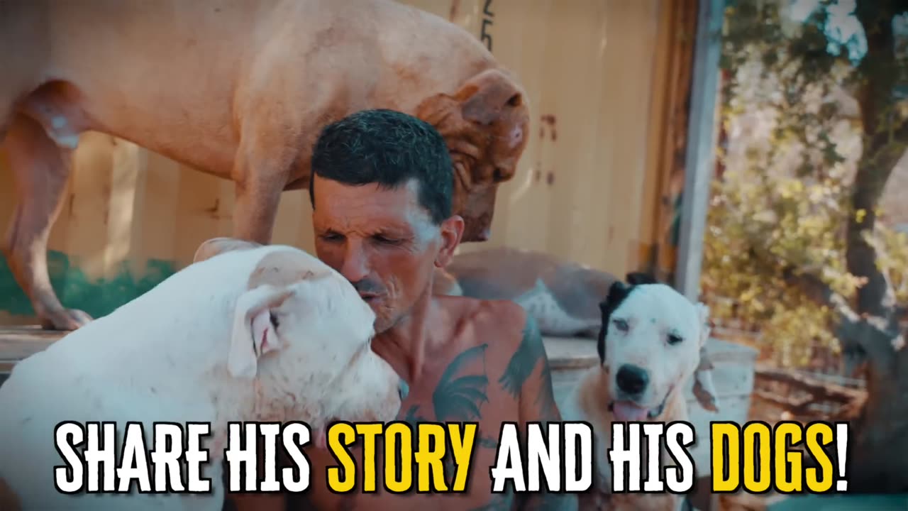 He stole 8000 dogs?