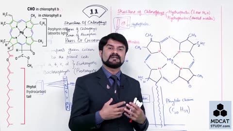 LEC#5 STRUCTURE OF CHLOROPLAST