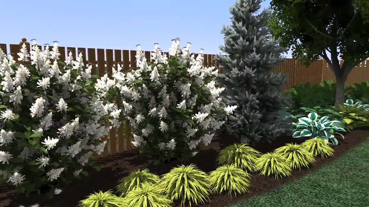 Backyard Makeover in 3D