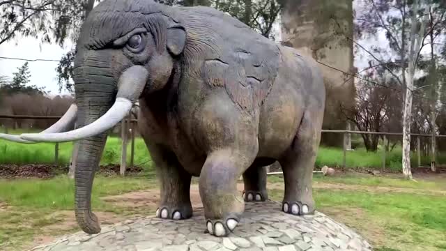 12,000-year-old remains of elephant relative found in Chile