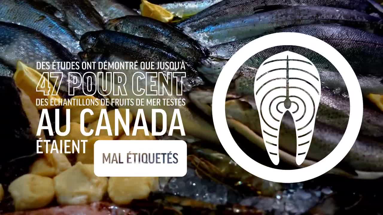 « Le Canada a un problème de fraude des produits de la mer »