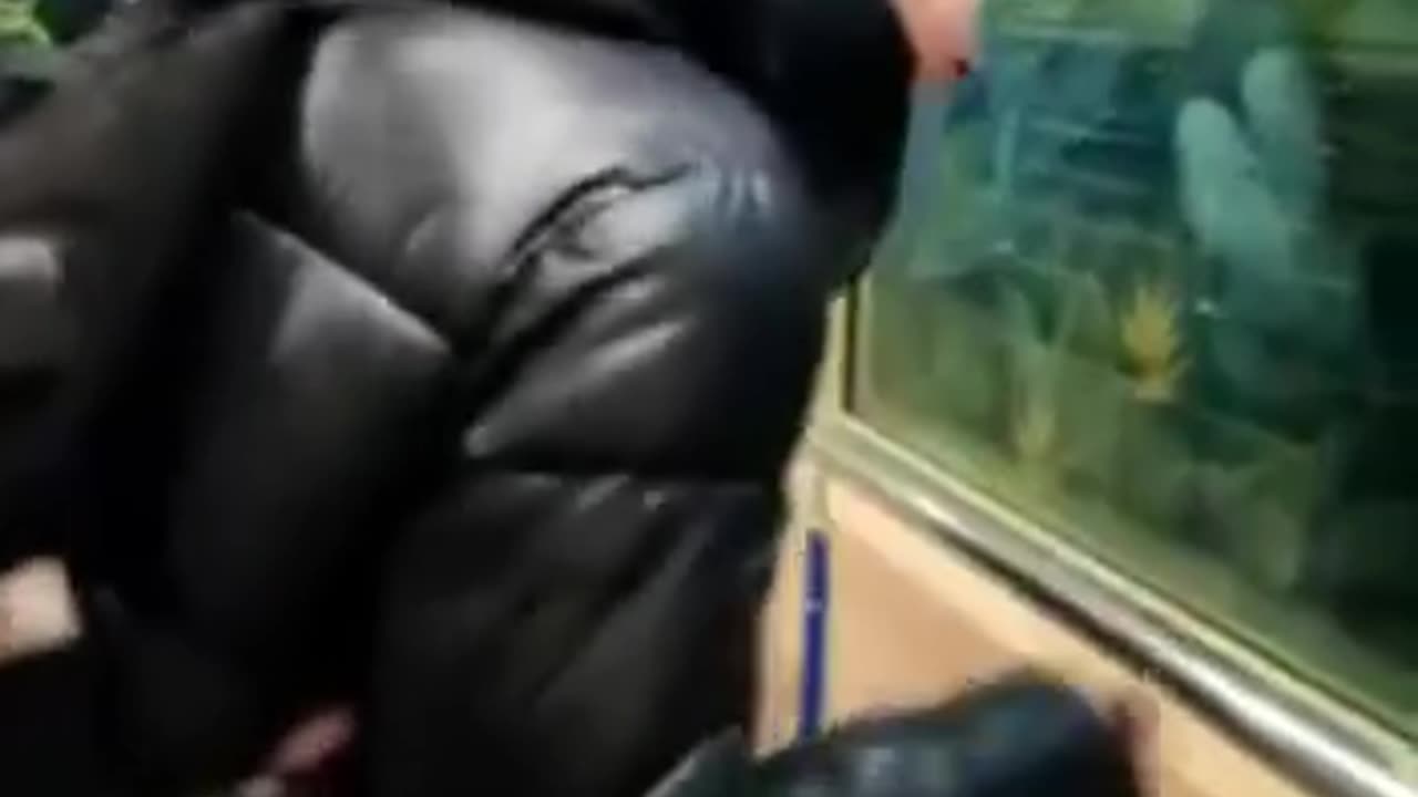Most funny Comedy scenes 🤣🤣 || epic funny video 🤣🤣🤣 #funny #comedy