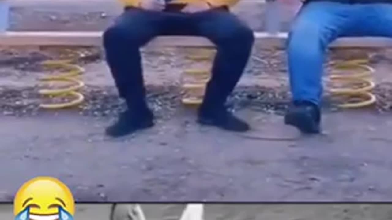 Funny vedio