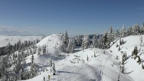 Top of a snow-covered mountain range and pine forests