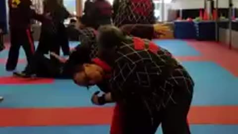 Grand Master Yuen Baie Kim President Of The World Pro Hapkido Federation