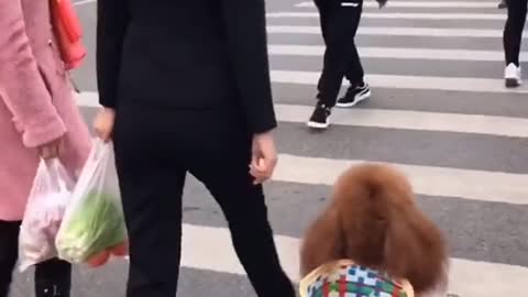 So cute.