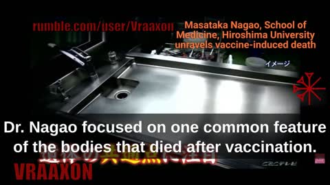 Japanese Doctors have discovered what the "Anti-Covid Vaccine" does in the human body