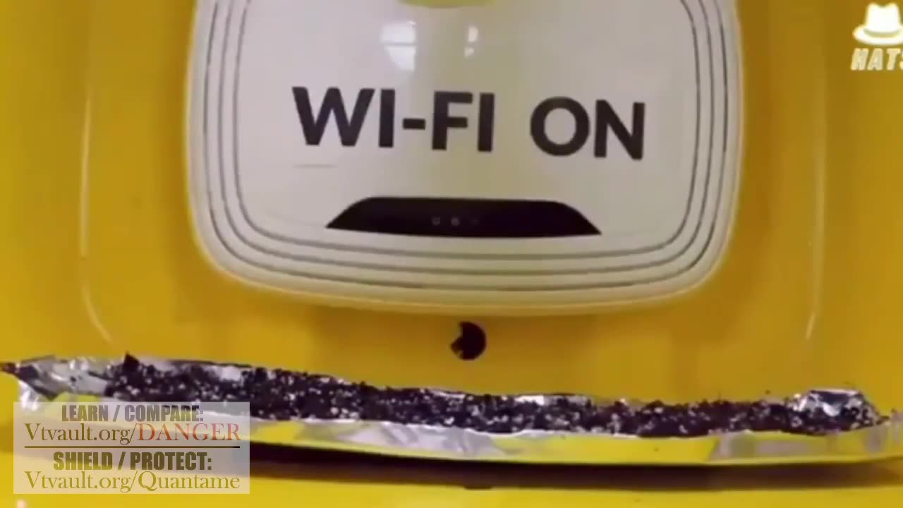 How dangerous WIFI EMF frequency is...