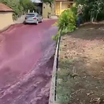 Cidade portuguesa é tomada por rio de vinho