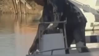 Wrong place wrong time