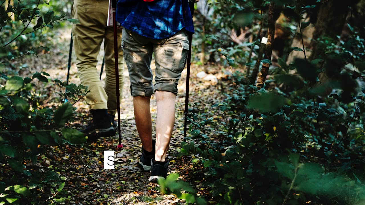 Health Hack | 6 reasons for being active every day