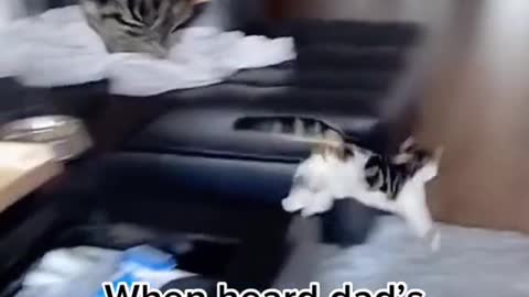 e a high level of challenge. Under certain