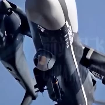 The Twin Tailed Scorpion🇨🇳