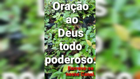 Oração ao Deus todo poderoso🙏🏻🙌🏻.