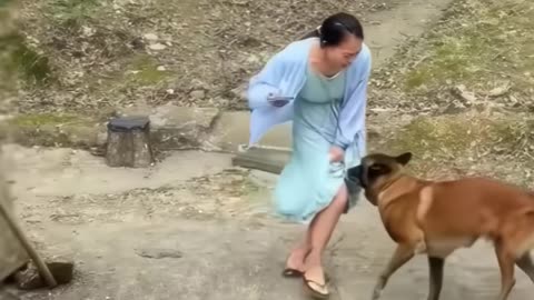 This dog saved its owner from an imminent falling branch