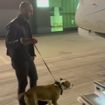 andrew tate with his dog