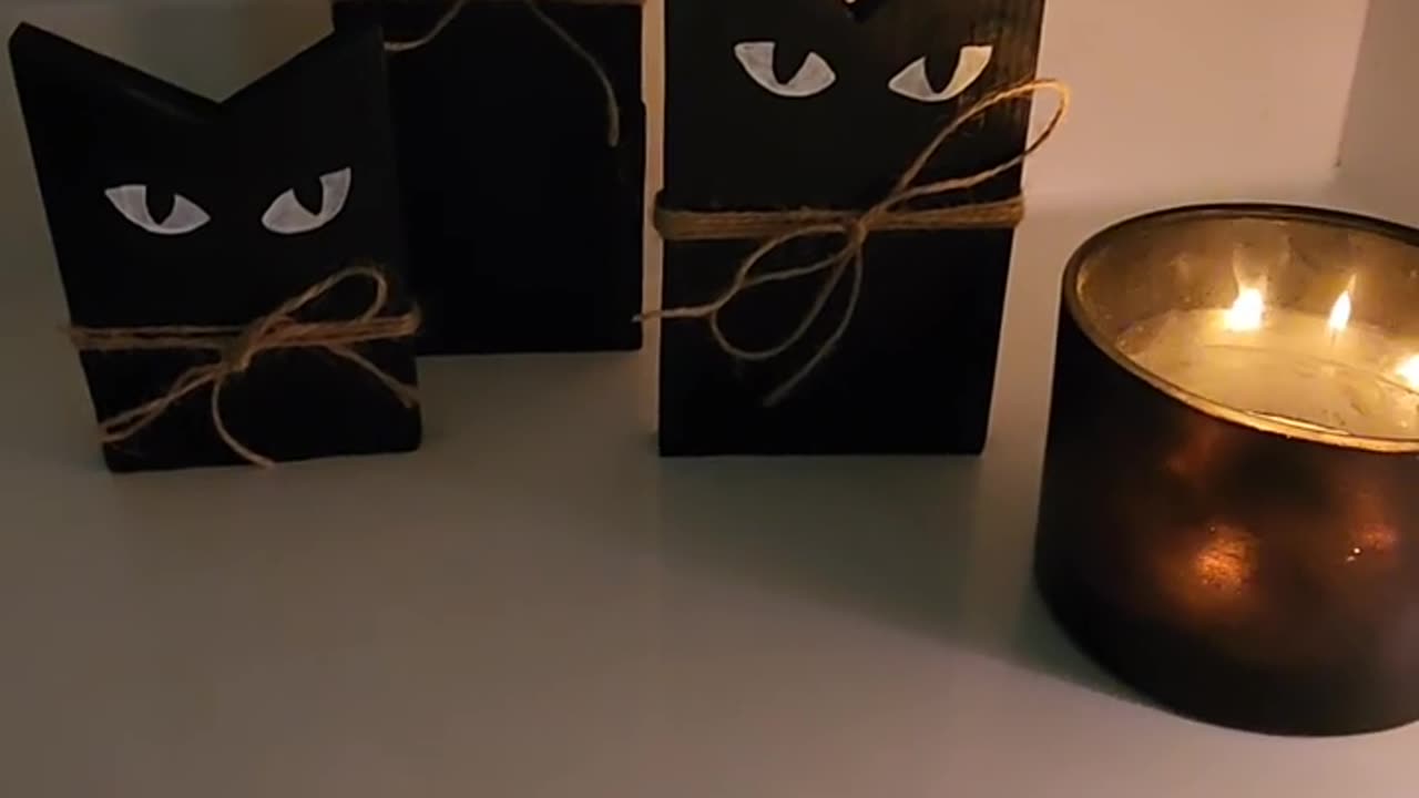 Spooky DIY Cat Halloween Decor