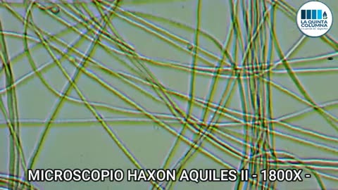 La fase final del plan de las vacunas: Proteína Spiga, ADN modificado y Grafeno