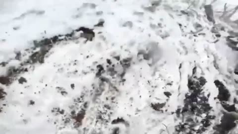 Assault on Russian positions💪🇺🇦