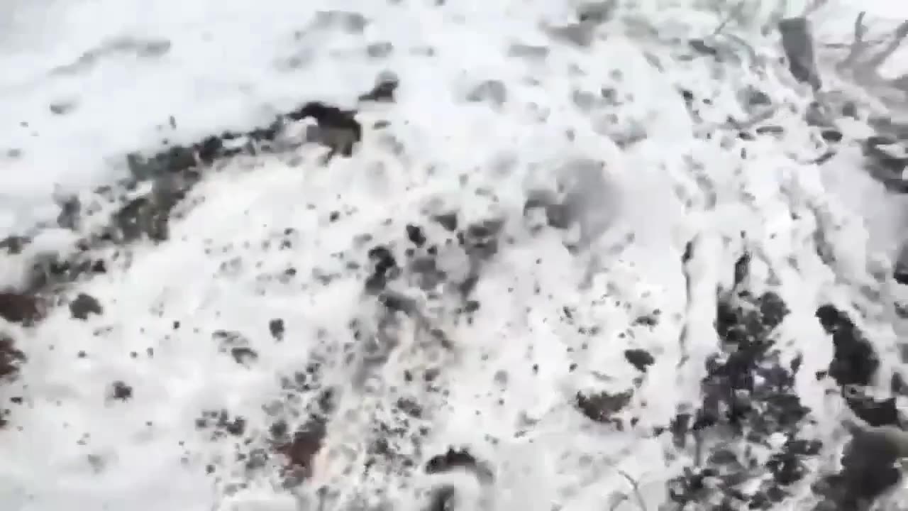 Assault on Russian positions💪🇺🇦